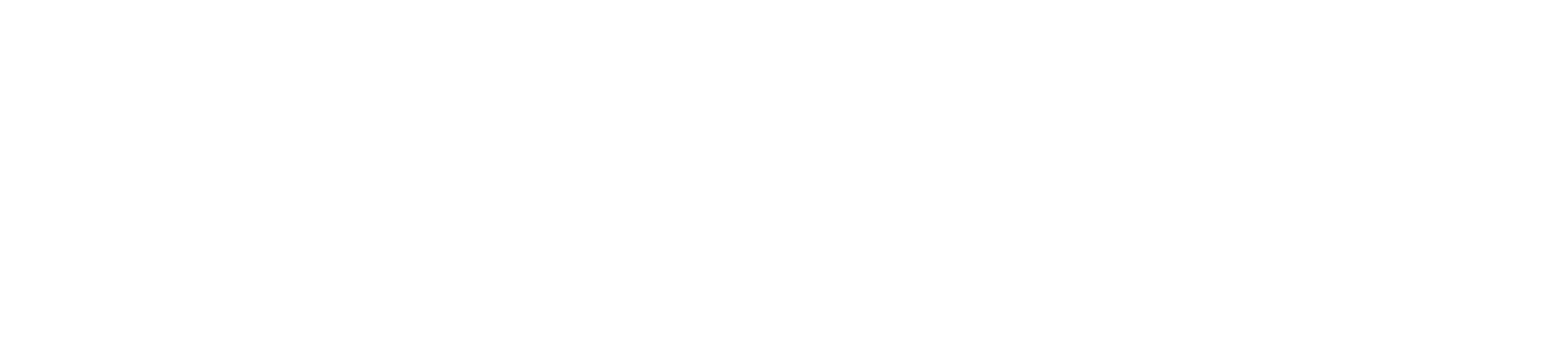 Duubler Business